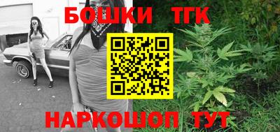СК Канаш