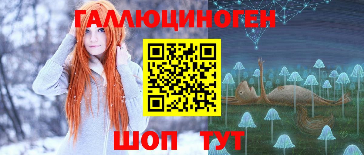 Псилоцибиновые грибы Psilocybine cubensis Ленинск-Кузнецкий